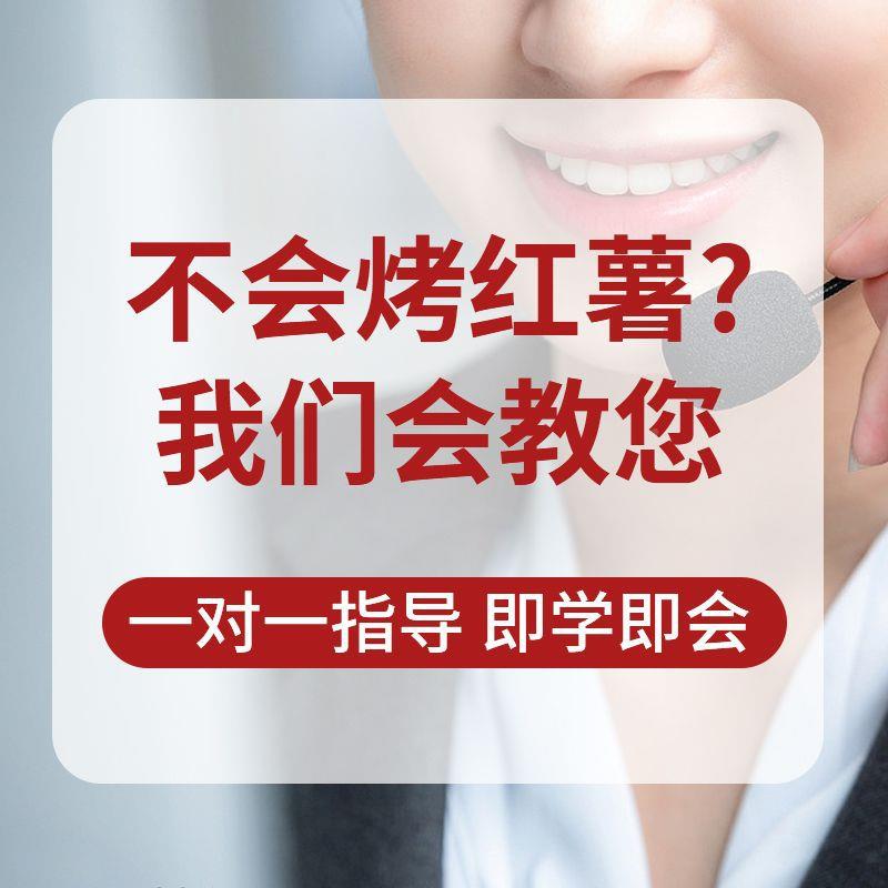 街头烤米红薯WOL烤炉摆摊商用地烤瓜炉子机番薯电碳山芋玉烤炉其