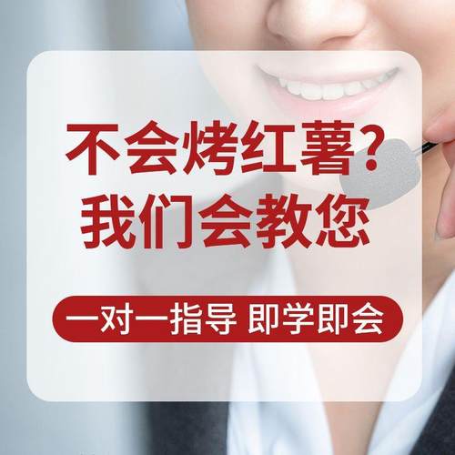街头烤米红薯WOL烤炉摆摊商用地烤瓜炉子机番薯电碳山芋玉烤炉其