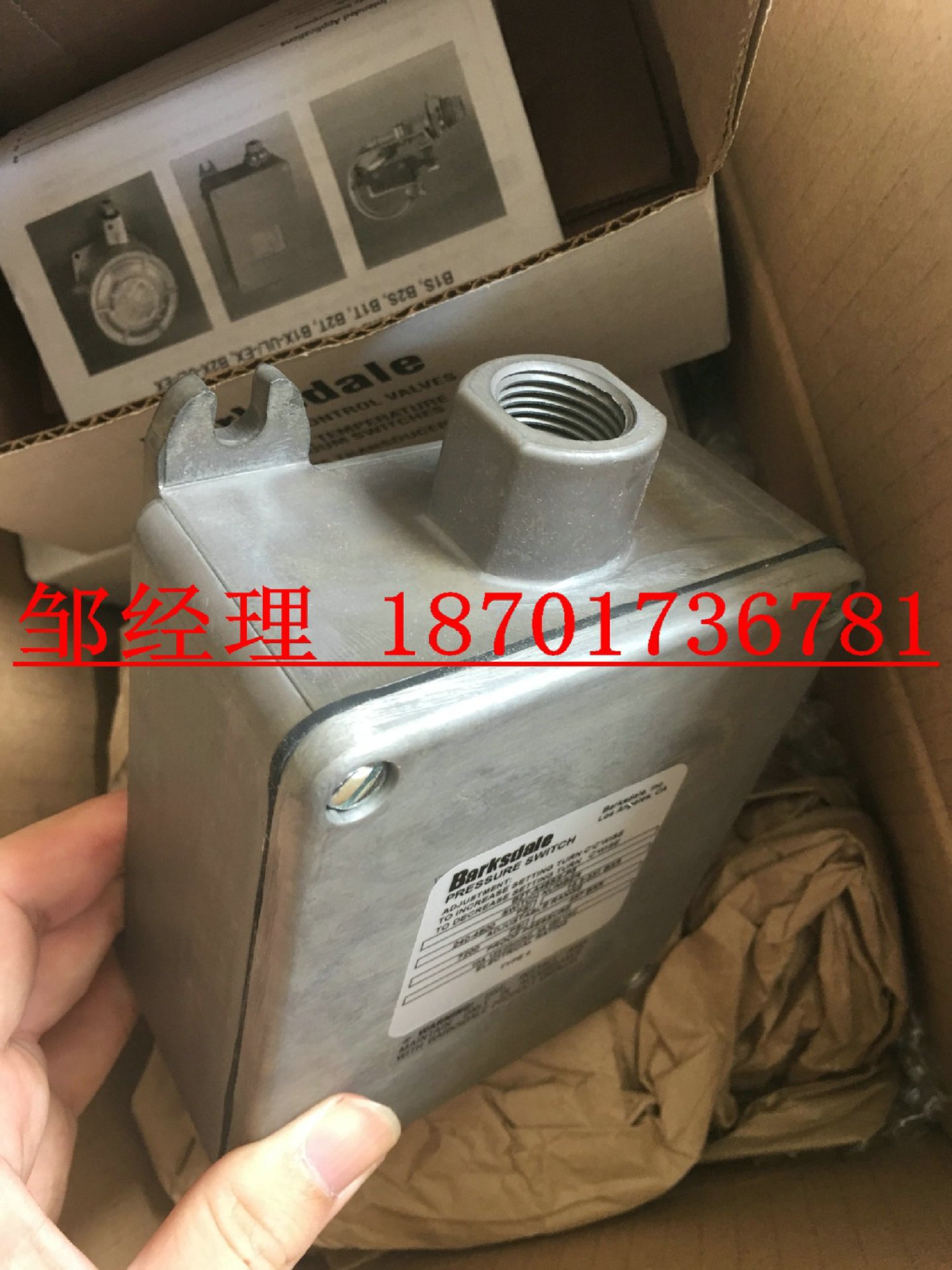 德国巴士德压力开关B2T-A48SS