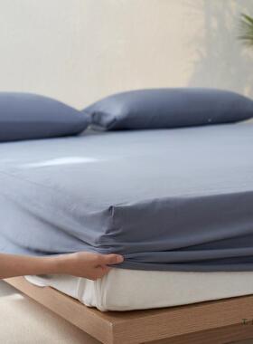 100支棉质磨毛纯色床笠单件乳胶垫保ZAF护宿套床学生舍褥子套可拆