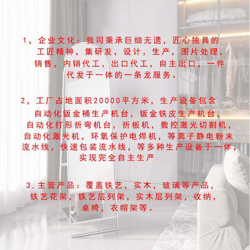 全身穿店衣落架地镜子可旋转服移动RDD女生卧室装换衣挂衣一体试