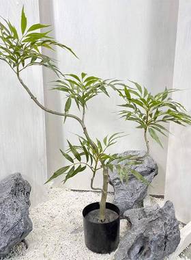 仿室真功绿植黄竺盆栽内橱窗客54003厅天落地装饰摆件假植物十大劳