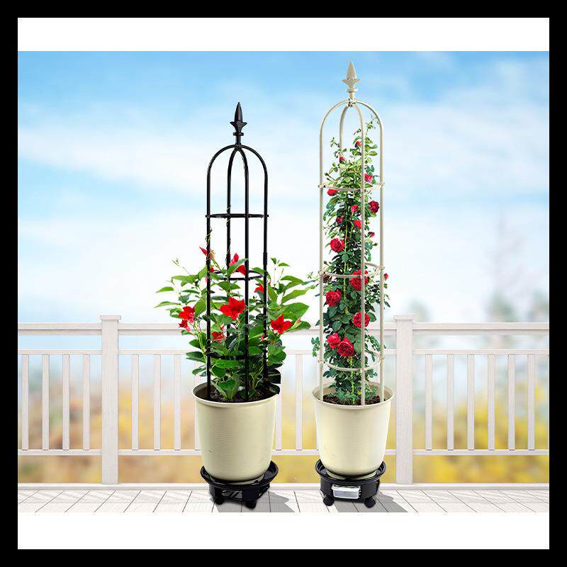 架玫爬瑰花藤型TZPU月季盆藤栽架花架玫瑰花爬架欧式支植物