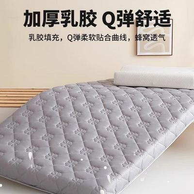 乳舍胶垫遮盖物宿生单人学软垫家用卧室海NTS绵床褥子垫被床租房