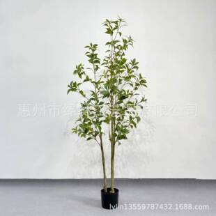 北欧仿真绿植风醉马木家具装饰摆件室内客厅地落盆栽LY-MZM00摆件