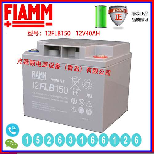FIAMM蓄电池12FLX700 12V198AH不间断电源长寿命精密仪器发电厂