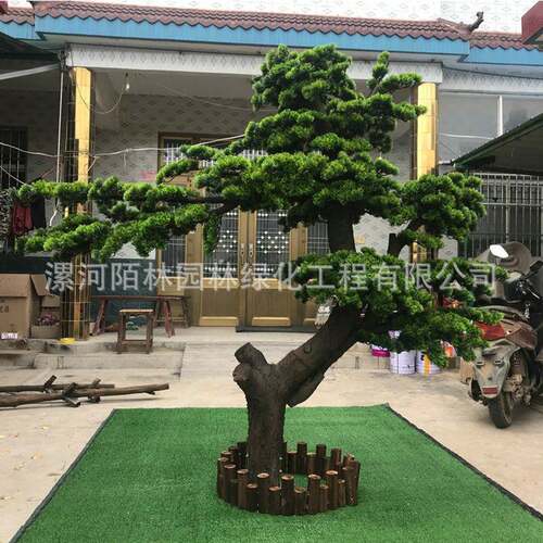 仿松装树罗汉松松树商场假室内饰造型FZSS-005设真计美人迎客松景