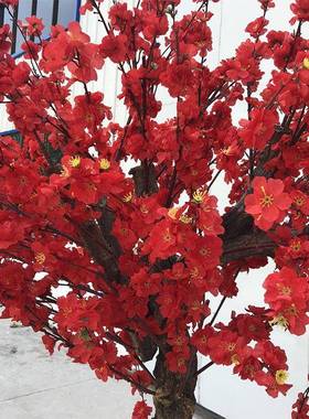 厂仿树家仿真梅花树婚庆家居G014仿装饰真树盆景商场真假花树
