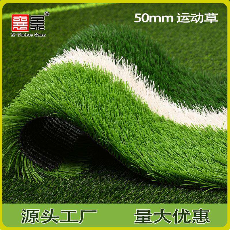 校操DW50场跑道毯造草坪足球场人篮球场人工地运动场学仿真透气排