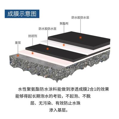 无味水性951聚酯氨水涂料顶屋卫FXT生间补漏材料防水涂防料厂家