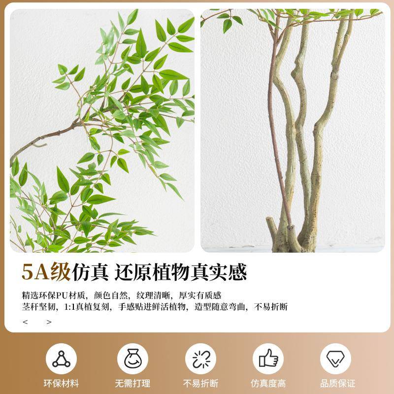 真绿植南地天竹客厅盆栽室仿内高端轻奢装TRF仿饰花生植物假树落