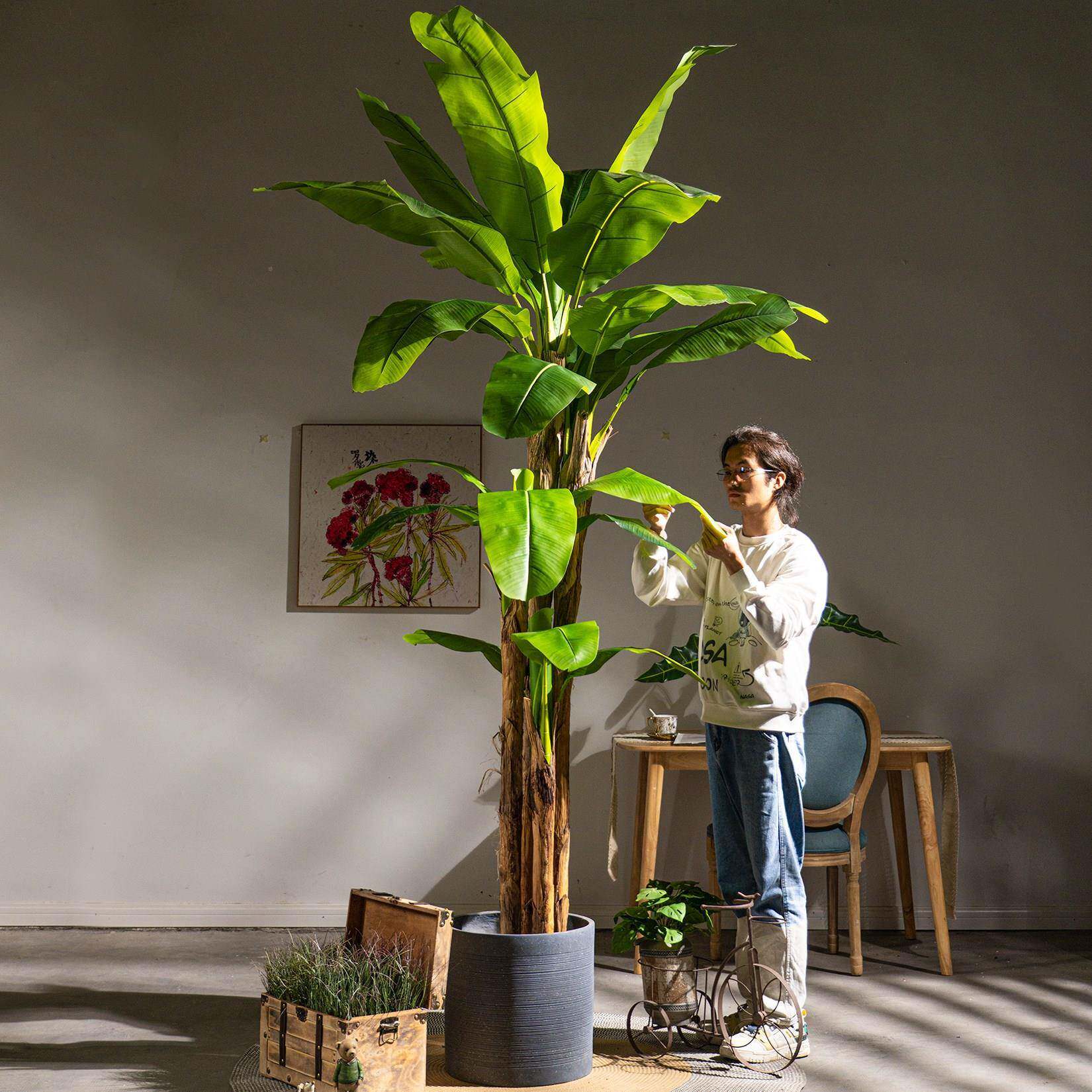 高超大仿型真绿植阔叶芭蕉树室内仿生热植物造AC-6368景假树装饰