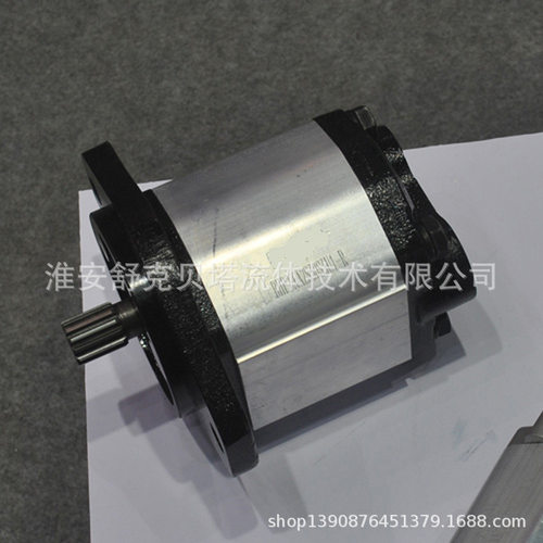 BHP2.6A2S30S3U1-R系列齿轮泵