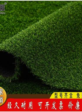 人仿真草坪19205草坪装饰儿幼园室外造阳台训练场地假草坪防晒隔