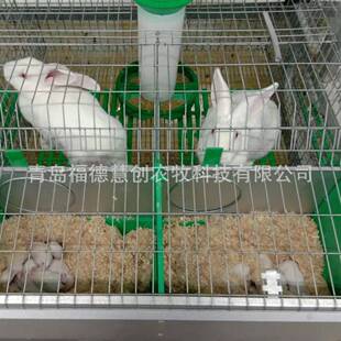 伊拉兔肉兔箱养殖笼外挂层产繁兔无品牌/育一体双兔笼