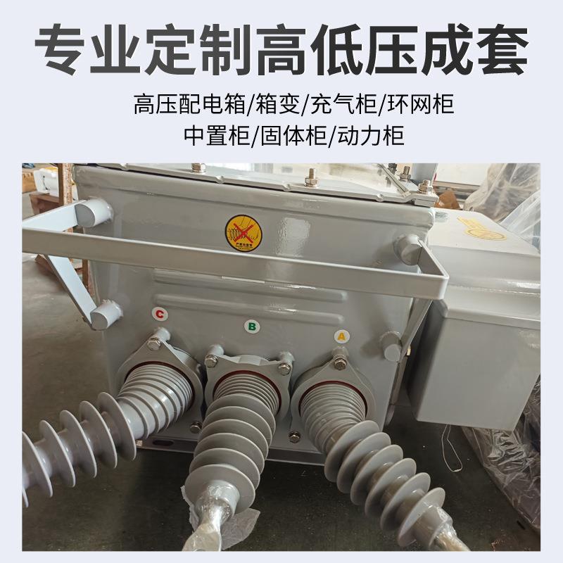 ZWA压20-1/630ZW20户外高真空断路器10kv看门狗智能户外柱上分界2