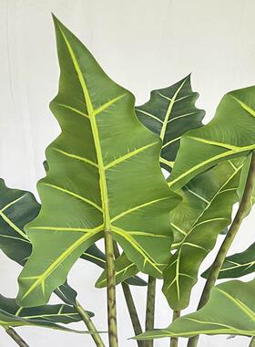 仿真112221萨植利安海芋盆栽室内景橱窗装饰造仿真海芋仿生绿植物