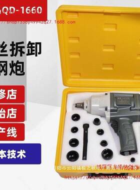 WHZ崎岛Q级D-1660工业1/扭2头大力汽小修补胎风炮气动扳手强劲小