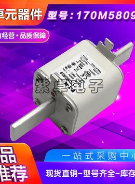 Bussman7n熔断器10M5808M170M5809170M5170M580881017085811170M5