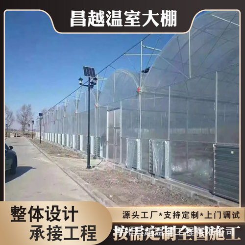 新型 厂家生产连栋薄膜温室大棚水果花卉种植生态农业连栋温室