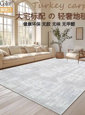 加厚200171高级家土用无丙胶客厅地毯耳其轻机奢简约威尔顿织纶地