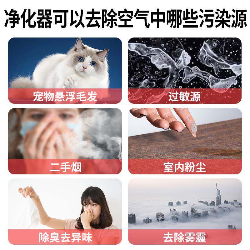 除过敏源物浮毛发空气净化器家743用吸除臭尘除雾猫霾宠净化机