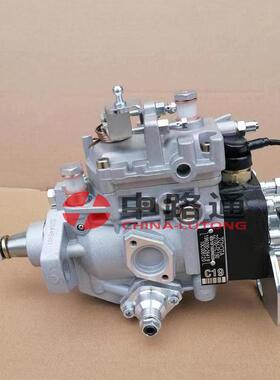 供应 22100-1C190柴油泵总成 VE6/10F1900RND964 196000-2300
