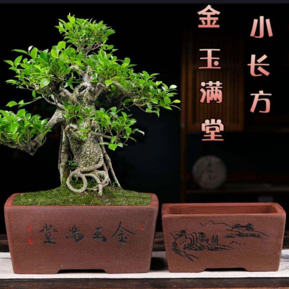 砂花盆大口径楠梅花老LZN+goo4桩绿植长方马槽盆景赤盆内大号紫室