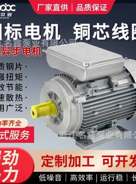 单相异步电动机4140转0.75/11/级2.2523kw家用220V铝壳Y.L低速卧0