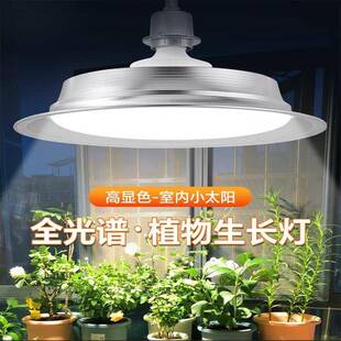 坚大功率照射植物补光灯仿阳光灯太阳光用补MMT灯led农多肉光果花