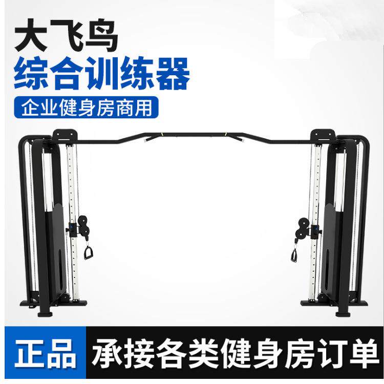 大飞鸟龙门架商用力量器材十字夹胸综合多功能训练器Gantryok