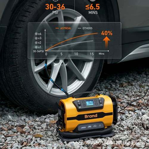 AC/DC汽车充气泵交流110-230V打气泵直流12V双电源新款车载充气泵