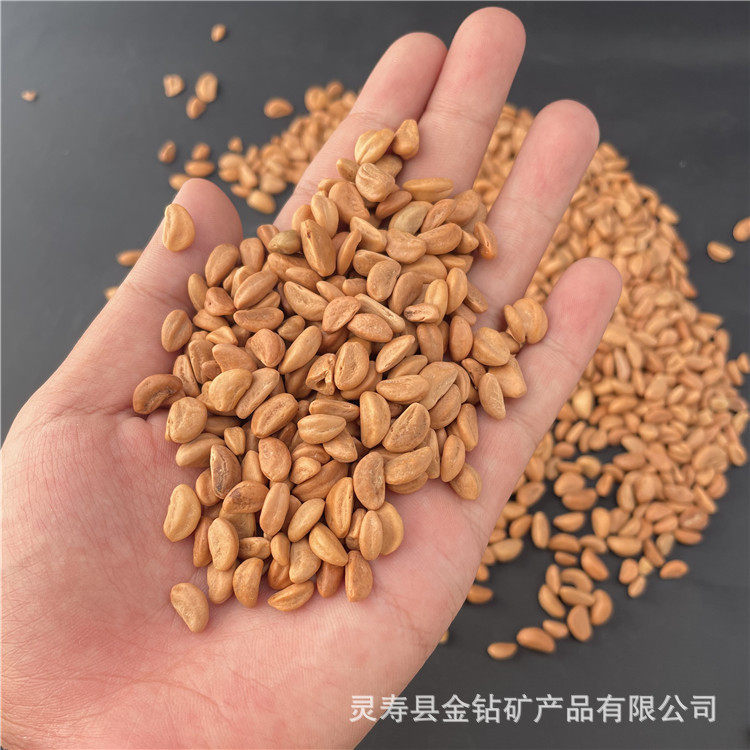 水洗抛光山楂籽儿童游乐场用山楂籽坐垫枕头填充颗粒饱满干净新货
