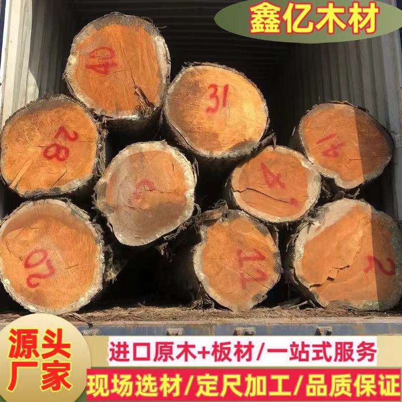 厂家 香柏木原木 川柏木 黄心柏 香柏木 实木家具料寿材料