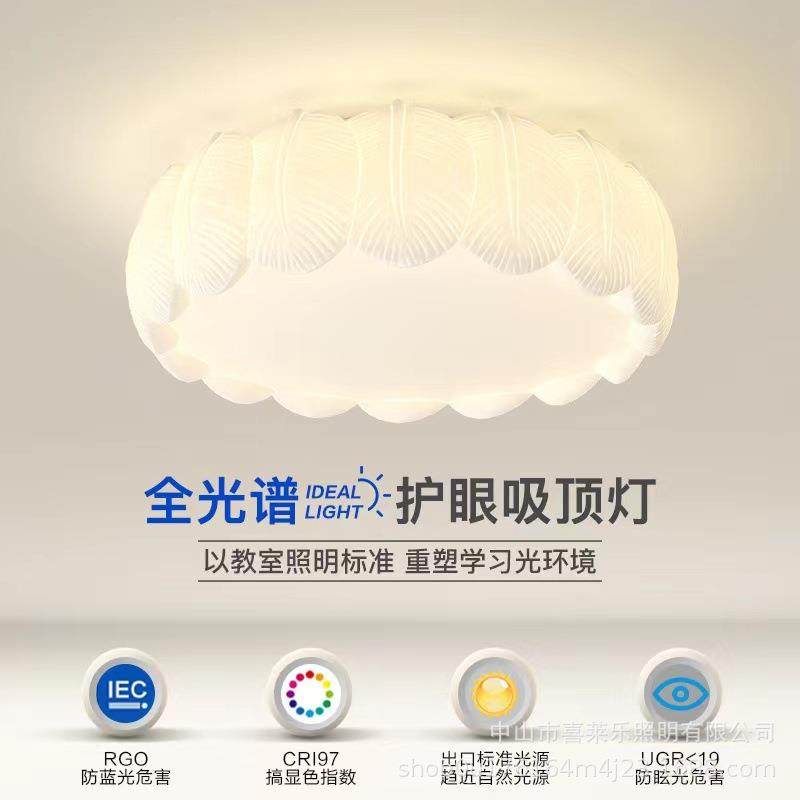 客厅灯吸顶灯奶油风羽毛灯全光谱护眼卧室2025年新款网红北欧灯具,纺织面料/辅料/配套,纺织机械配件,淘宝优惠券,粉丝福利购,淘宝优惠卷