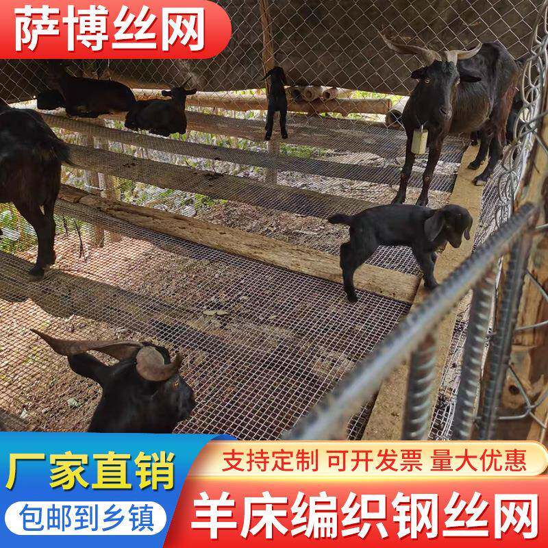 养猪网羊猪用漏粪网狗笼底垫底母猪产床钢筋网热镀锌养殖钢丝网