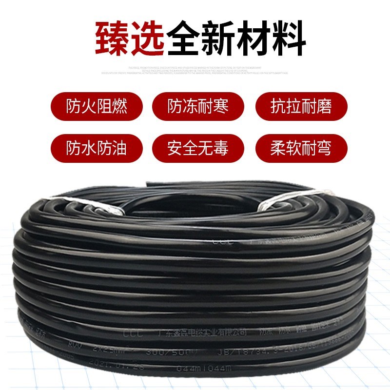 国标电线软线2芯1.l52.5 4 6平方户外防冻护套线电源线电缆线100