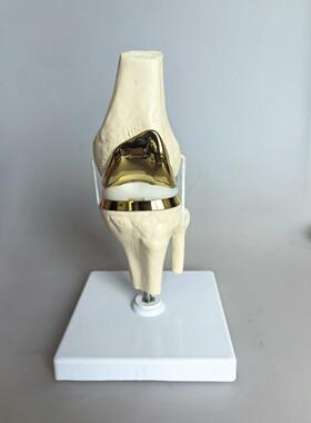 金膝色83349单颗的工人关节