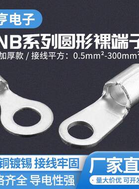 无绝缘护套圆形端子国标RNB紫铜冷压端头铜线鼻接线冷压接线端字