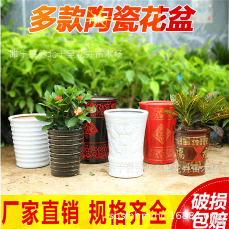 陶瓷花盆小号中号大号花盆送托盘室内外简约多色盆栽