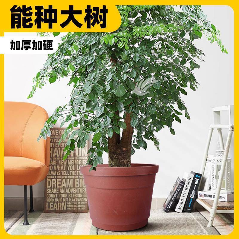 高桶红色加高大花盆特大号加厚超码种果树庭院家用处理