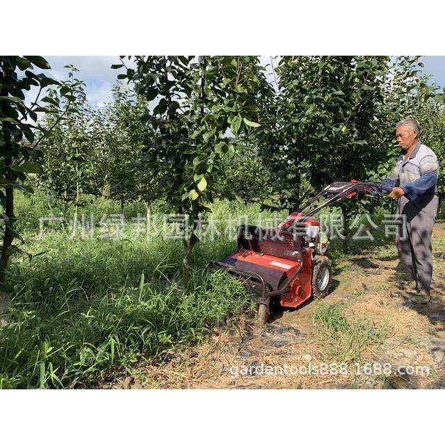 H6手MH60CG1扶式割草机0C灌G101手扶履带M式割草机果园开荒木修剪,农机/农具/农膜,割灌机/割草机/油锯,淘宝优惠券,粉丝福利购,淘宝优惠卷