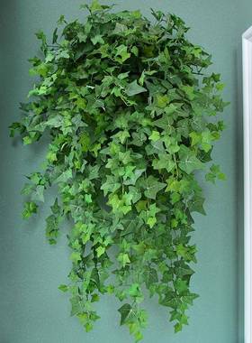 天台悦ltao5420藤先物仿真爬山虎墙挂壁装饰植假花条藤蔓绿植塑料