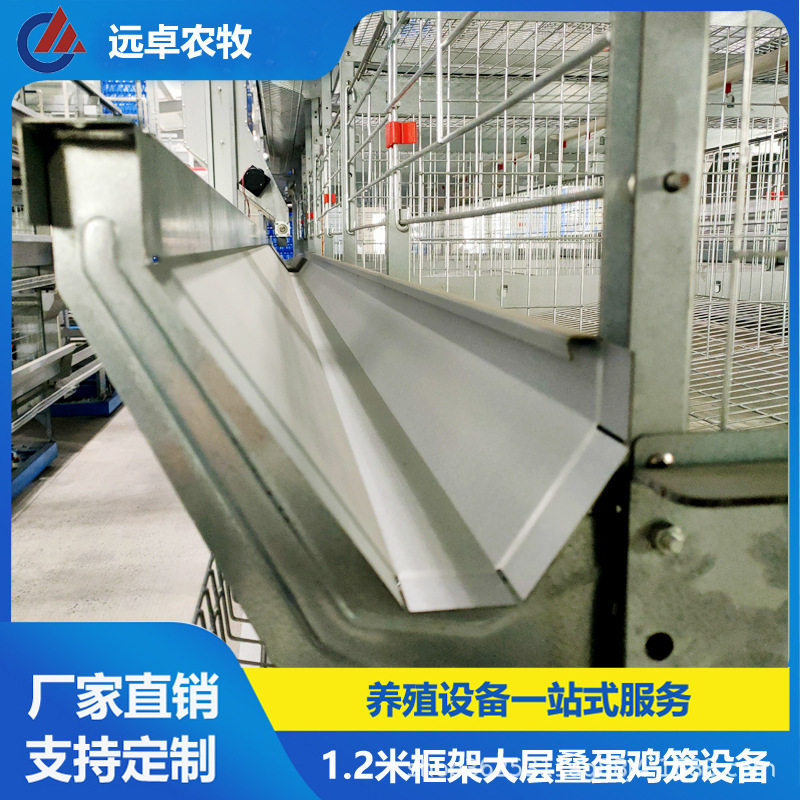 H型框架立体养殖江苏南通五列四层叠蛋鸡养殖场设备自动捡蛋机