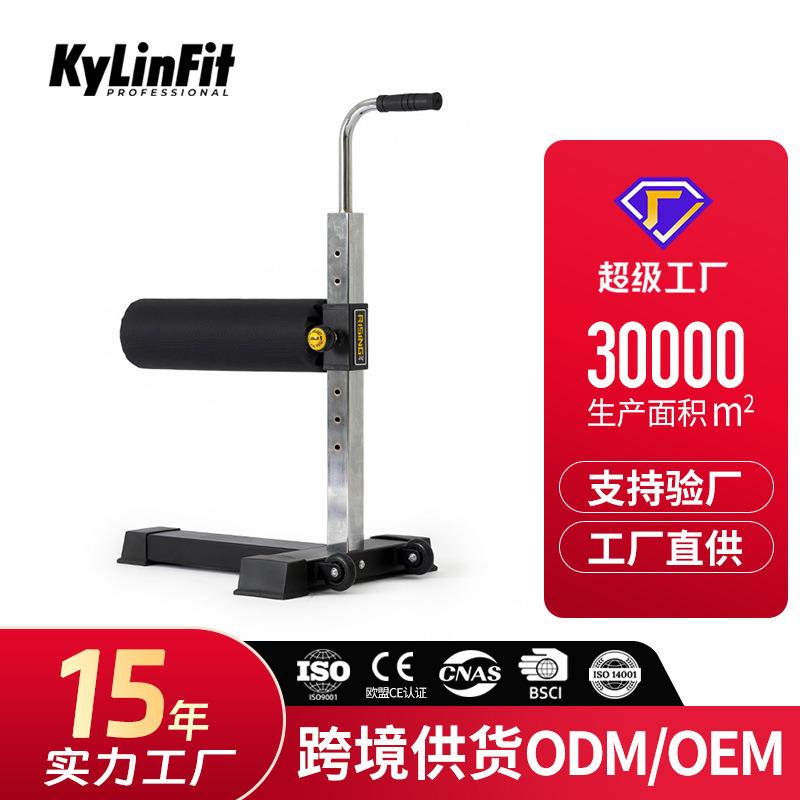 健身训练用单腿训练深蹲辅助器材工厂直销