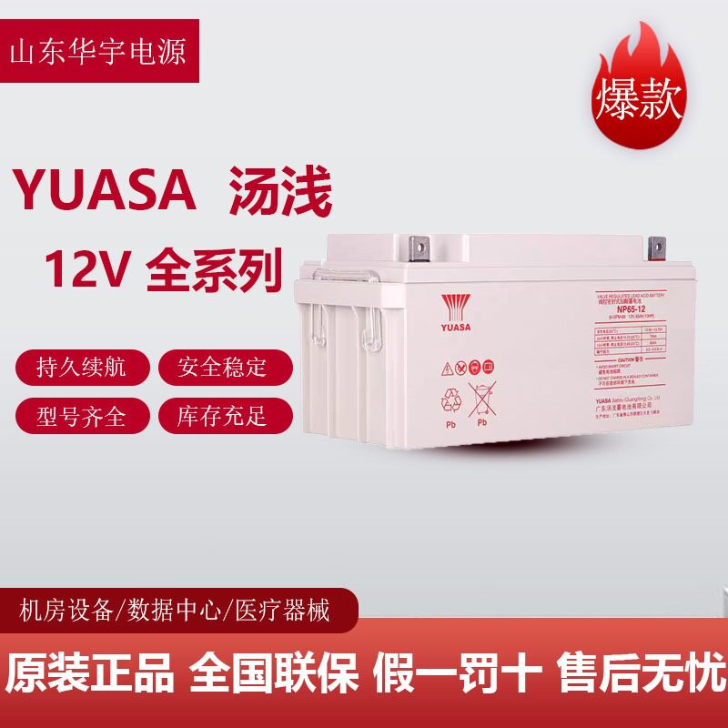汤浅蓄电池12V65AH直流屏UPS电源NP65-12铅酸蓄电池NP18-12