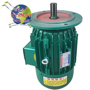 架桥机电机龙门吊锥形电机摆线针轮减速机锥形电机河南真牛电机