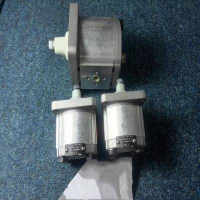 意大利CASAPPA液压泵PLP10.6.3S0-29E7-LGC/GC-N-EL-HAW00375091