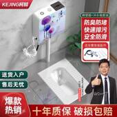 家陶瓷蹲便冲水箱装 整45502套大便器防套臭蹲用厕蹲器坑便池蹬便