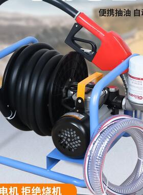 温12v4V2220V油电动抽油泵加油泵自港柴767吸泵加油枪车载小型加